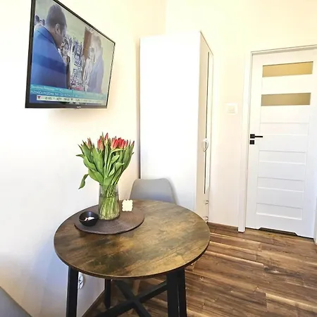 Pomorska86 Aparts By Ronus - Centrum Kwatera prywatna Łódź